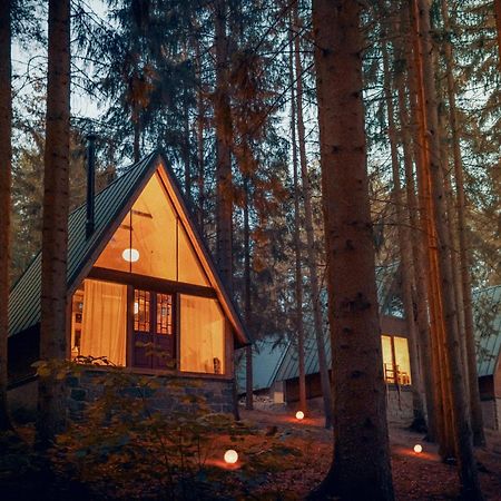 Hotel Kouty - Lesni Apartmany Ledeč nad Sázavou Exteriér fotografie